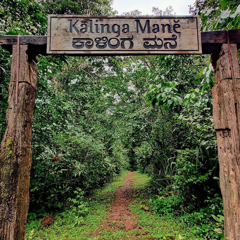 Kalinga Mane, Agumbe, Megarvalli Kalinga Centre for Rainforest Ecology
Gowri Shankar