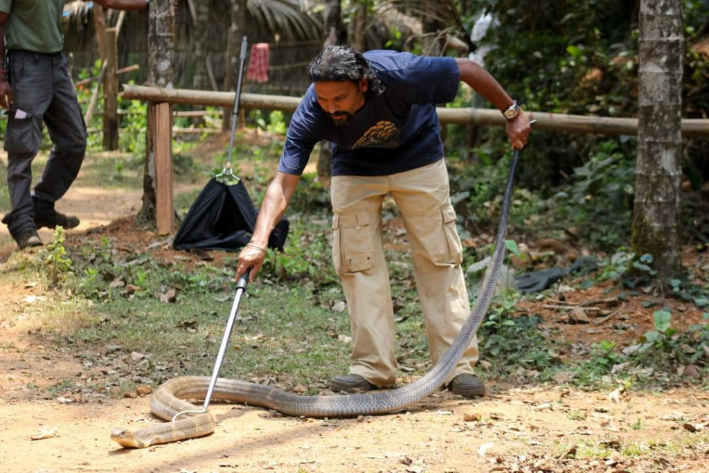 Gowri Shankar
Kalinga Mane, Agumbe, Megarvalli Kalinga Centre for Rainforest Ecology
