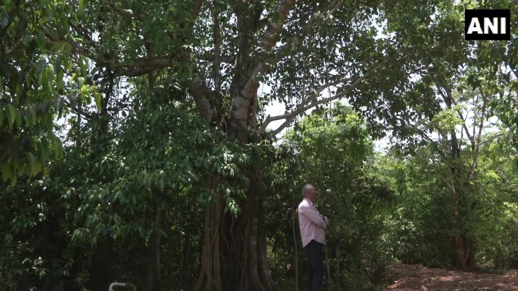 Suresh Kumar and Akhilesh Chipli Environment Afforestation Karnataka Forest