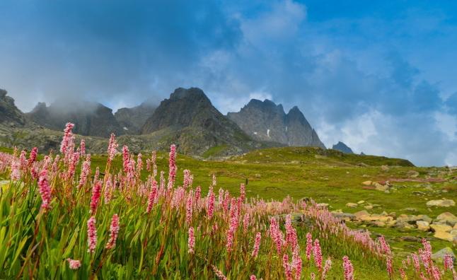 Valley of Flowers National Park Uttarakhand UNESCO World Heritage Site Exploring Uttarakhand