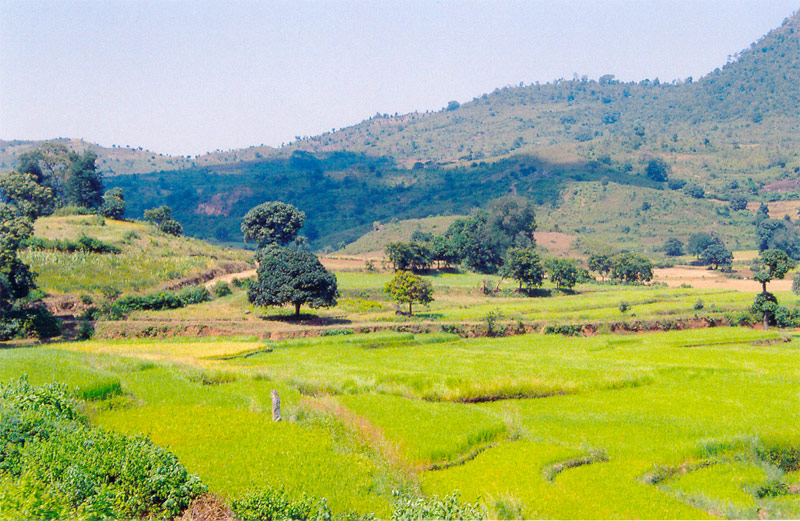 Araku Valley, Andhra Pradesh must visit places in south of India