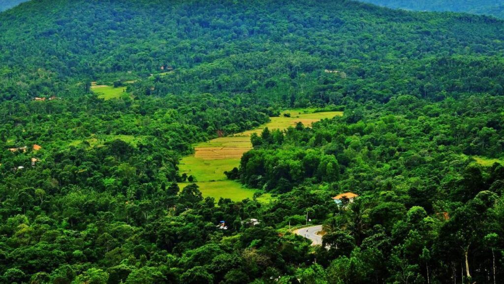 Coorg Karnataka  must visit places in south of India