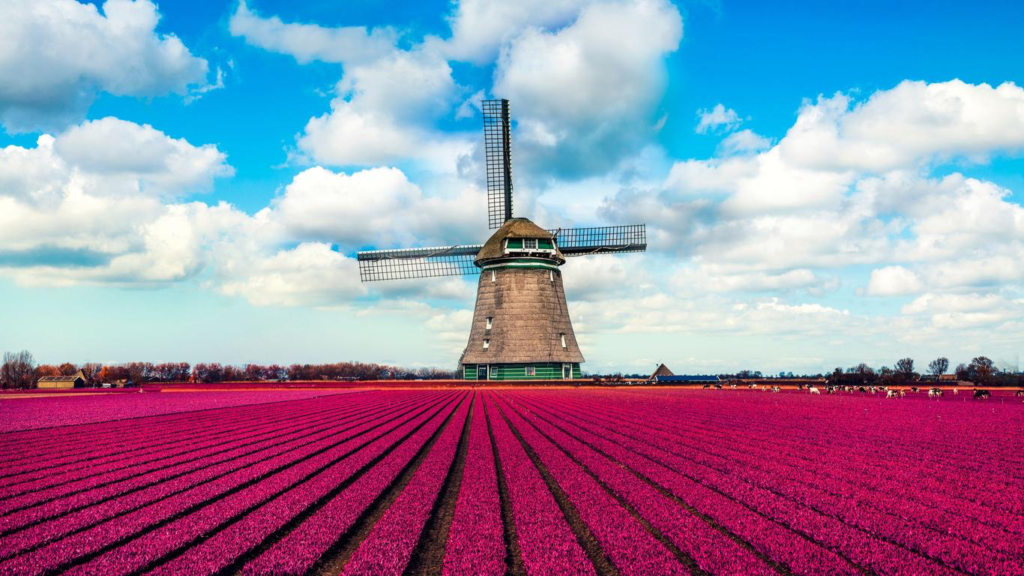 Cheapest month to visit Netherlands 

skyscanner.pxf.io/DKLYbo