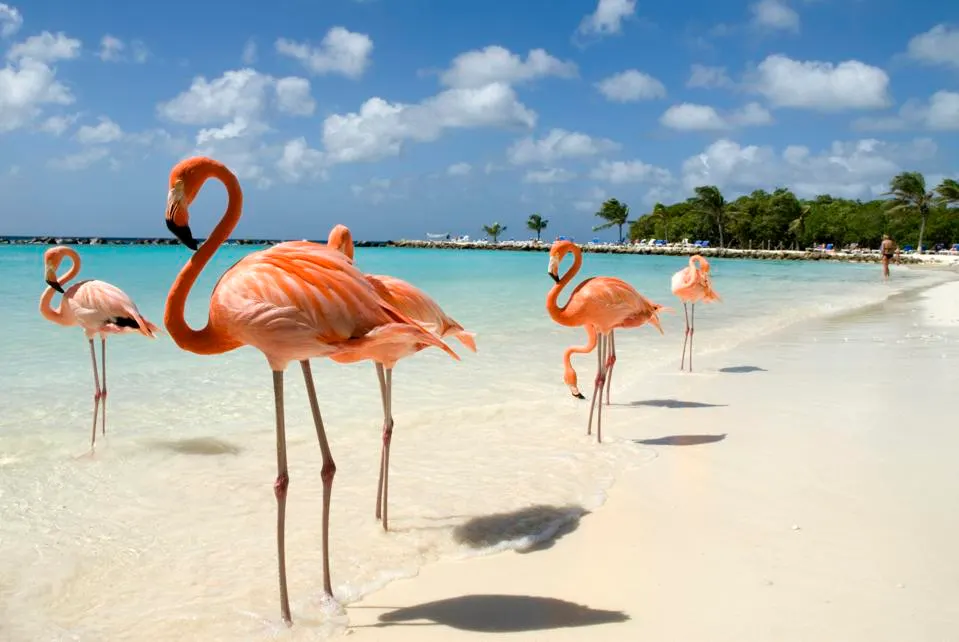 Aruba Tourism 